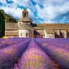 Abbaye Notre-Dame de Sénanque