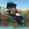 Abraham Hunter - Wetlands Eagle