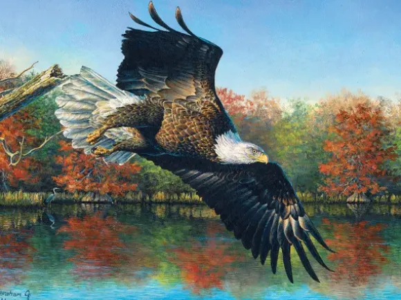 Abraham Hunter - Wetlands Eagle