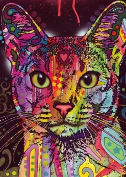 Abyssinian