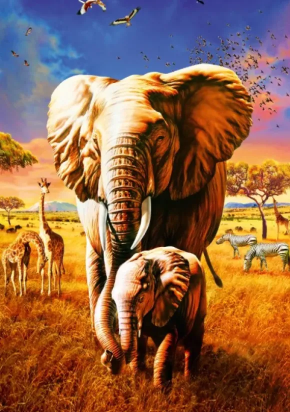 Adrian Chesterman - Elephant