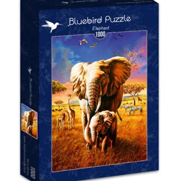 Adrian Chesterman - Elephant