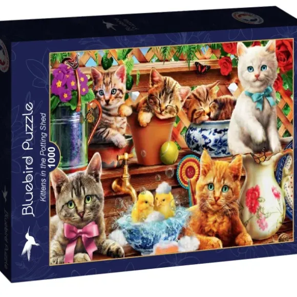 Adrian Chesterman - Kittens in the Potting Shed
