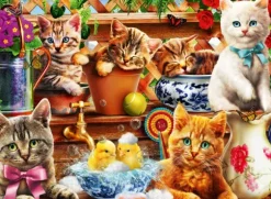 Adrian Chesterman - Kittens in the Potting Shed