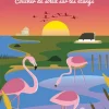 Affiche Camargue