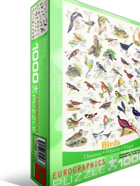 Affiche sur les Oiseaux