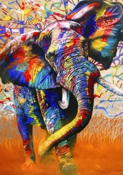 African Colours