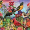 Aimee Stewart - Birds and Blooms Garden