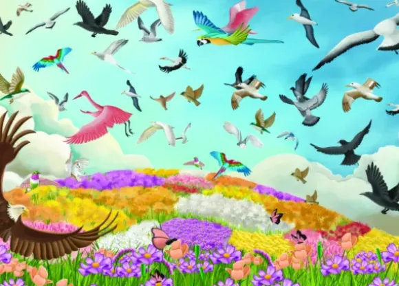 Amazing Birds