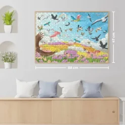 Amazing Birds