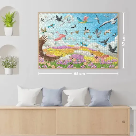 Amazing Birds