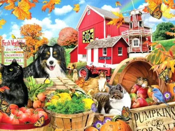 Amis de la Ferme