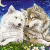 Amitié entre Loups