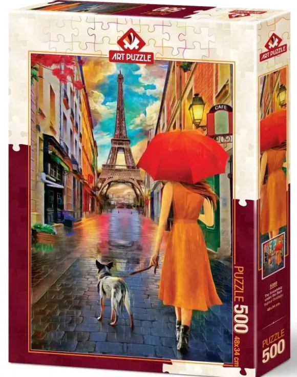Amitié Sous la Pluie