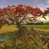 Andy Thomas - Strontium Tree