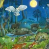 Animaux dans la Forêt Nocturne