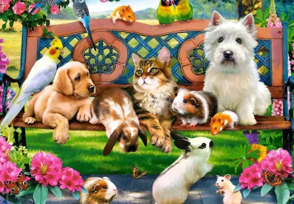 Animaux dans le Parc