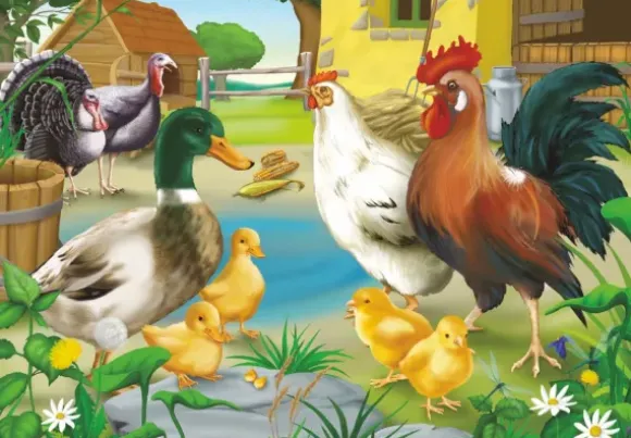 Animaux de la ferme : poule, coq, canard, poussins et dindons