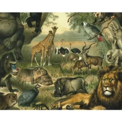 Animaux Savane