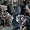 Anne Stokes - Anne Stokes - Wolf Collage