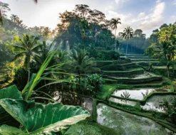 Au Coeur de Bali