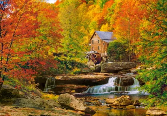 Automne Magique