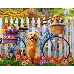 Aventure de Chiots