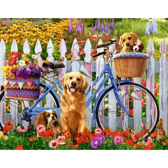Aventure de Chiots