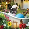 Bain Moussant dans le Jardin