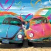 Beetle Love