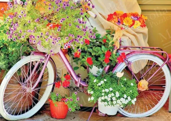 Bicycle with Flowers