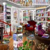 Bigelow Illustrations - The Book Shop