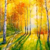 Birch Grove