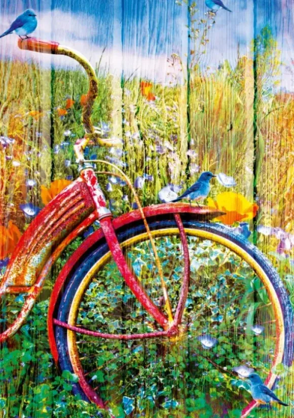 Bluebirds on a Bicycle