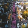 Bonn en Fleurs