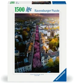 Bonn en Fleurs