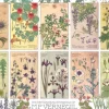 Botanicals by Verneuil