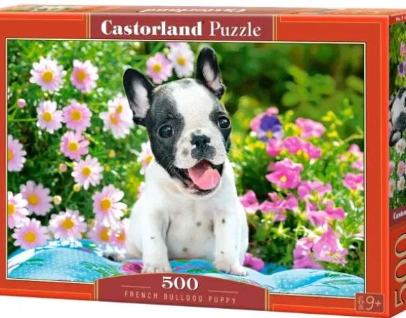 Bouledogue Français