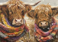 Brrrr!