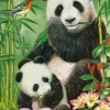 Brunch des Pandas