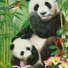 Brunch des Pandas
