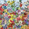 Butterfly Garden
