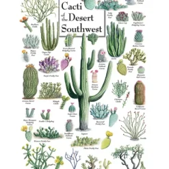 Cacti of the Desert Southwest