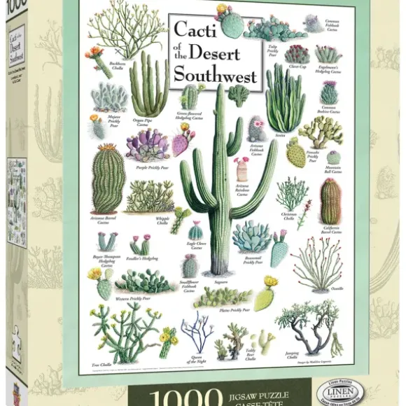 Cacti of the Desert Southwest