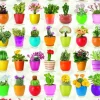 Cactus et Plantes Succulentes