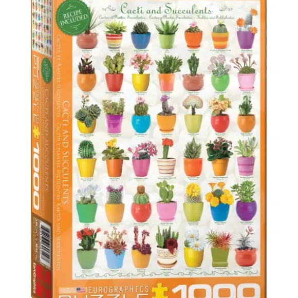 Cactus et Plantes Succulentes