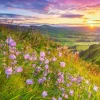 Campagne au Lever du Soleil