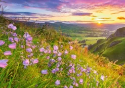 Campagne au Lever du Soleil