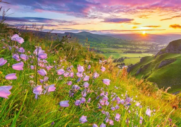 Campagne au Lever du Soleil
