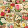 Catalogue de Graines de Roses